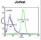 Coiled-Coil Domain Containing 106 antibody, LS-C168371, Lifespan Biosciences, Flow Cytometry image 