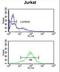 Ankyrin Repeat Domain 49 antibody, LS-C156371, Lifespan Biosciences, Flow Cytometry image 