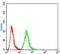 Ezrin antibody, NBP2-52465, Novus Biologicals, Flow Cytometry image 