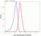 Neural Cell Adhesion Molecule 1 antibody, 701379, Invitrogen Antibodies, Flow Cytometry image 