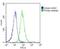 Preferentially Expressed Antigen In Melanoma antibody, GTX03381, GeneTex, Flow Cytometry image 