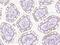 Potassium Voltage-Gated Channel Subfamily C Member 3 antibody, 206646-T08, Sino Biological, Immunohistochemistry frozen image 