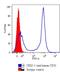 CD5 Molecule antibody, GTX21156, GeneTex, Flow Cytometry image 