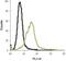 Histamine Receptor H2 antibody, PA5-77464, Invitrogen Antibodies, Flow Cytometry image 