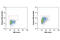 ATM Serine/Threonine Kinase antibody, 13050S, Cell Signaling Technology, Flow Cytometry image 