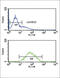 Progressive ankylosis protein homolog antibody, abx034492, Abbexa, Flow Cytometry image 