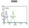 EF-Hand Domain Containing 2 antibody, LS-C167647, Lifespan Biosciences, Flow Cytometry image 