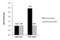 Steroid hormone receptor ERR1 antibody, PA5-28390, Invitrogen Antibodies, Chromatin Immunoprecipitation image 