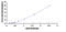 Gap Junction Protein Alpha 4 antibody, MBS2021546, MyBioSource, Enzyme Linked Immunosorbent Assay image 