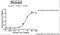 Fibrinogen Alpha Chain antibody, ab34269, Abcam, Enzyme Linked Immunosorbent Assay image 