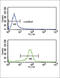 Calcium Voltage-Gated Channel Auxiliary Subunit Alpha2delta 1 antibody, abx034071, Abbexa, Western Blot image 