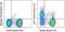 5'-Nucleotidase Ecto antibody, 46-0731-82, Invitrogen Antibodies, Flow Cytometry image 