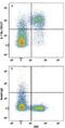 Interleukin 7 Receptor antibody, MAB7473, R&D Systems, Flow Cytometry image 