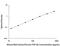 Transforming Growth Factor Beta 2 antibody, MB200, R&D Systems, Enzyme Linked Immunosorbent Assay image 