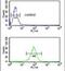 Exocyst Complex Component 5 antibody, PA5-26024, Invitrogen Antibodies, Flow Cytometry image 