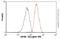 Eukaryotic Translation Initiation Factor 4E antibody, ab33766, Abcam, Flow Cytometry image 