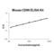 CD99 Molecule (Xg Blood Group) antibody, EK2089, Boster Biological Technology, Enzyme Linked Immunosorbent Assay image 