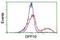 Dipeptidyl Peptidase Like 10 antibody, NBP2-01249, Novus Biologicals, Flow Cytometry image 