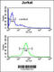 Coiled-Coil Domain Containing 130 antibody, 61-643, ProSci, Flow Cytometry image 