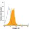 Integrin Subunit Beta 6 antibody, FAB4155A, R&D Systems, Flow Cytometry image 