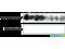 Male Germ Cell Associated Kinase antibody, SPC-1013D-HRP, StressMarq, Dot Blot image 