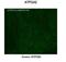 ATPase Sarcoplasmic/Endoplasmic Reticulum Ca2+ Transporting 2 antibody, NBP1-59203, Novus Biologicals, Immunohistochemistry frozen image 