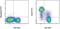 CD38 Molecule antibody, 11-0381-81, Invitrogen Antibodies, Flow Cytometry image 