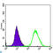 Mitogen-Activated Protein Kinase Kinase 6 antibody, LS-C812698, Lifespan Biosciences, Flow Cytometry image 