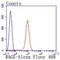 RAGE antibody, NBP2-67095, Novus Biologicals, Flow Cytometry image 