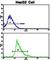 Creatine Kinase, M-Type antibody, abx033160, Abbexa, Western Blot image 