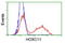 Homeobox C11 antibody, LS-C172623, Lifespan Biosciences, Flow Cytometry image 