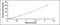 Insulin Degrading Enzyme antibody, MBS2024367, MyBioSource, Enzyme Linked Immunosorbent Assay image 