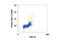 Mitogen-Activated Protein Kinase Kinase 1 antibody, 9127S, Cell Signaling Technology, Flow Cytometry image 