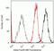 Signal Transducer And Activator Of Transcription 4 antibody, 700185, Invitrogen Antibodies, Flow Cytometry image 