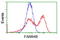 LRAT Domain Containing 2 antibody, TA501922, Origene, Flow Cytometry image 