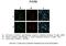 Pyrroline-5-Carboxylate Reductase 2 antibody, A10327, Boster Biological Technology, Immunohistochemistry frozen image 