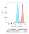 Testis Expressed 2 antibody, NBP1-83156, Novus Biologicals, Flow Cytometry image 