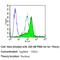 CAMP Responsive Element Binding Protein 1 antibody, MA1-114, Invitrogen Antibodies, Flow Cytometry image 