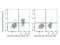 Interleukin 7 Receptor antibody, LS-C810904, Lifespan Biosciences, Flow Cytometry image 