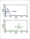 Fc Fragment Of IgG Receptor IIa antibody, abx034159, Abbexa, Flow Cytometry image 