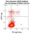 ATP Binding Cassette Subfamily B Member 5 antibody, abx032690, Abbexa, Flow Cytometry image 