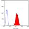 Platelet glycoprotein Ib alpha chain antibody, MCA740, Bio-Rad (formerly AbD Serotec) , Immunoprecipitation image 