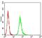 Adrenoceptor Beta 2 antibody, NBP2-61711, Novus Biologicals, Flow Cytometry image 