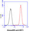 Interferon Regulatory Factor 5 antibody, GTX57552, GeneTex, Flow Cytometry image 
