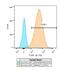 Toll Like Receptor 8 antibody, NBP2-24917AF700, Novus Biologicals, Flow Cytometry image 