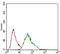 Melanoma Cell Adhesion Molecule antibody, GTX60775, GeneTex, Flow Cytometry image 