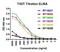 T Cell Immunoreceptor With Ig And ITIM Domains antibody, M01962, Boster Biological Technology, Enzyme Linked Immunosorbent Assay image 