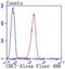 Cell Division Cycle 7 antibody, A01190-2, Boster Biological Technology, Flow Cytometry image 