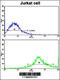 CD8b Molecule antibody, 57-715, ProSci, Flow Cytometry image 