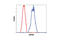 Heat Shock Protein 90 Alpha Family Class A Member 1 antibody, 4877P, Cell Signaling Technology, Flow Cytometry image 